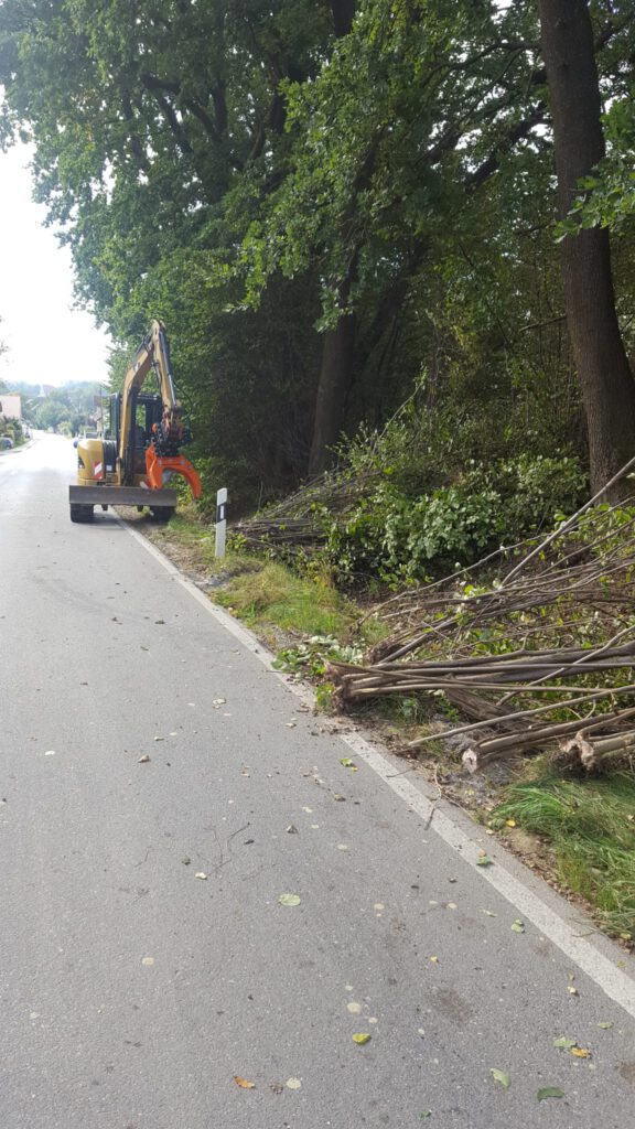 Erdweg Baggerarbeiten Pflasterarbeiten Gehölzpflege