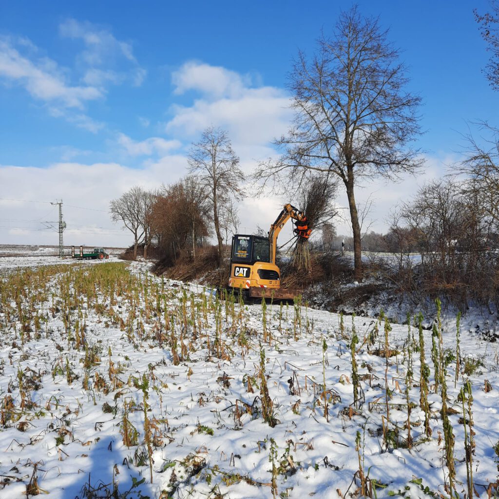 Erdweg Baggerarbeiten Pflasterarbeiten Gehölzpflege